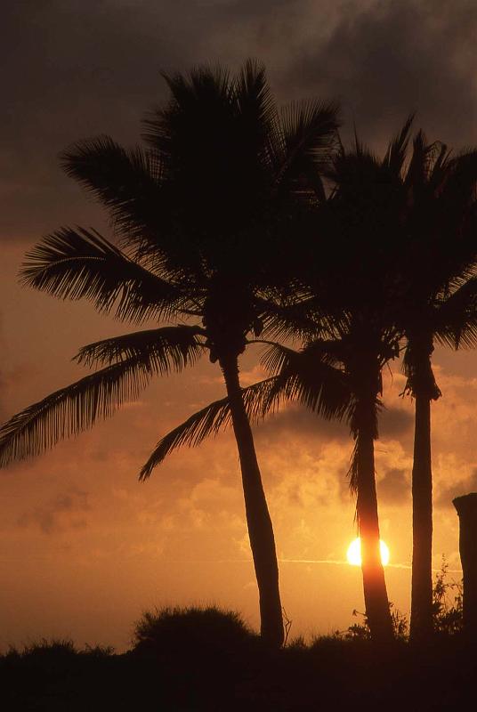 WT 0056 T08-07 Hawaii Sunset.jpg